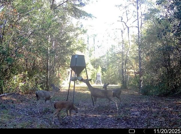 Parcel A&B Sunburst Drive, Crestview, FL 32539