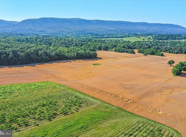 S OX RD EDINBURG, EDINBURG, VA 22824