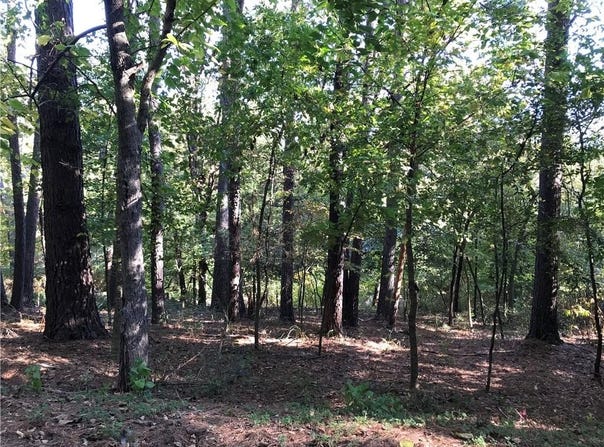 Forfar  DR, Bella Vista, AR 72715
