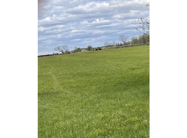 C Howard City Edmore Road, Lakeview, MI 48850