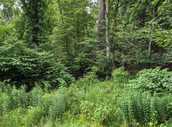 320 SYLVAN DELL PARK ROAD, S. Williamsport, PA 17702