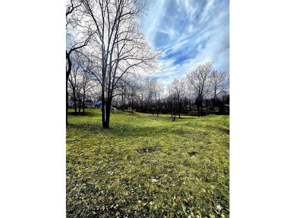 Mcpherson Street, Stanton, MI 48888