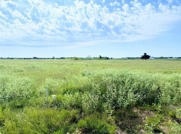 4 Ac PR  5463 C, Mexia, TX 76667