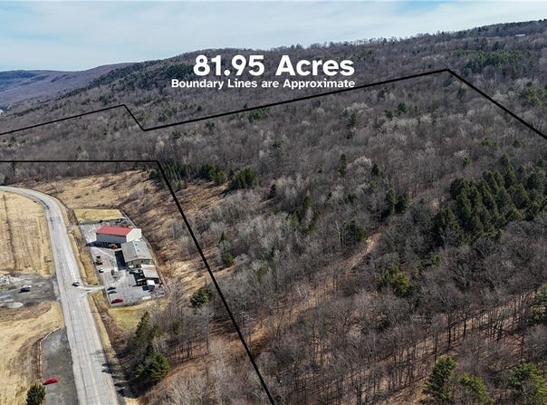 County Highway 56, Schenevus, NY 12116