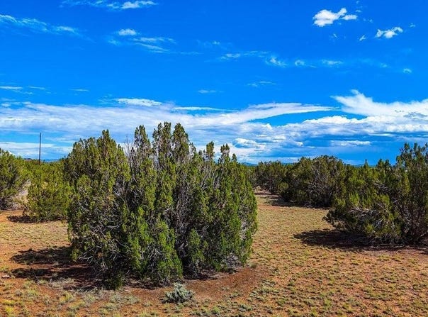 8730 Coronado Drive, Show Low, AZ 85901