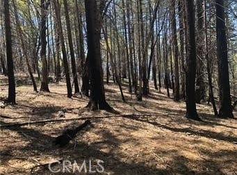 7097 High Valley, Lucerne, CA 95458