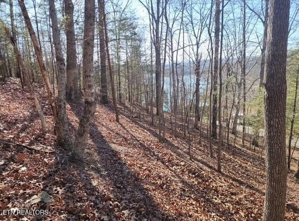Deer Pond Circle, LaFollette, TN 37766