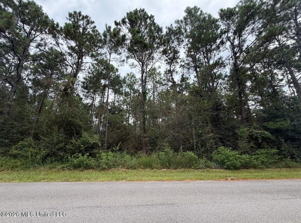 Scott Street lot: 51, Bay Saint Louis, MS 39520