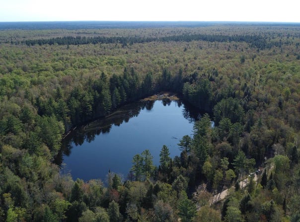 on Wolf Lake Road, Newberry, MI 49868
