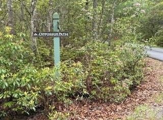 FR16 opossum Path, Brevard, NC 28712