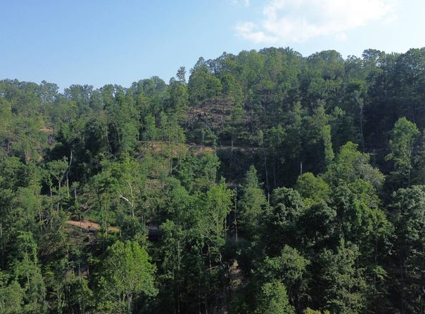 Turkey Creek Road, Ansted, WV 25812