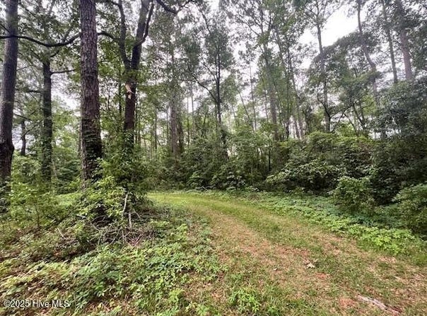 Lot 1b 117 Highway Off Nc, Rocky Point, NC 28457