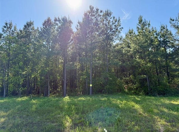 232 Chapel Creek Drive, Princeton, LA 71067