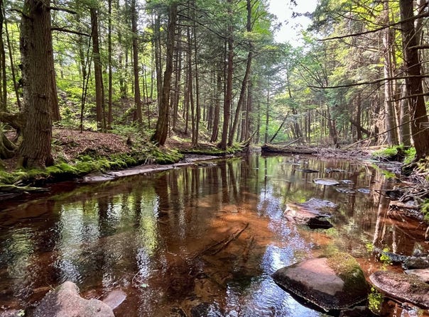 WP0  Benton Hollow Rd., Livingston Manor, NY 12758