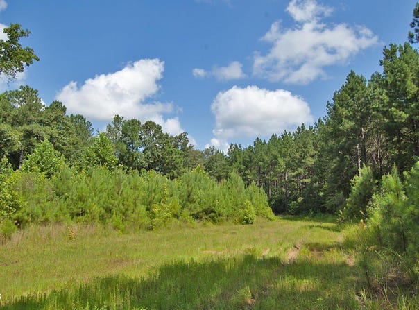 0 Buckhorn Road, Bullock, NC 27507