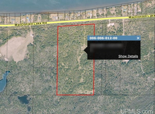 28.95 Acre County Road 432, Gulliver, MI 49840