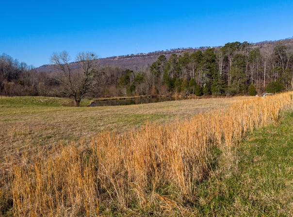 4975 Browntown Road, Chattanooga, TN 37415