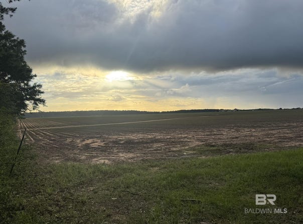 1 Old Stage Road, Repton, AL 36475