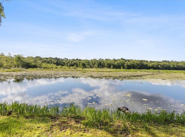 Gould Road, Quincy, FL 32351