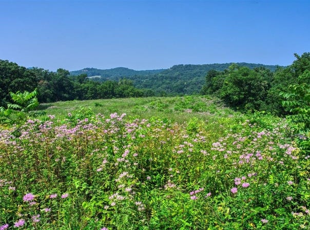165+/- Acres Miess Road, Dodgeville, WI 53533