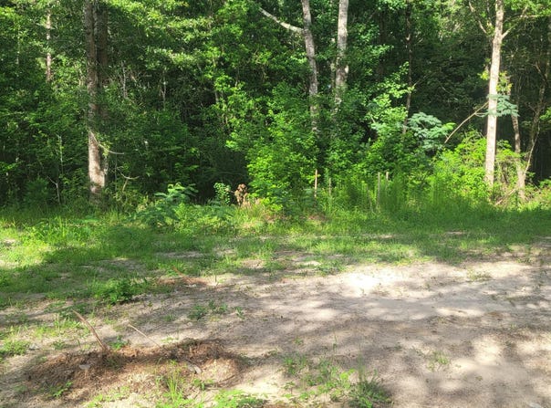 19296 Pete Hickman Road, Saucier, MS 39574