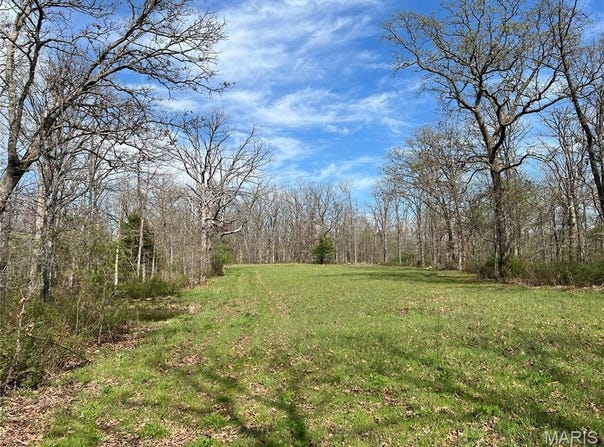 24755 MAYAPPLE Lane, Lebanon, MO 65536
