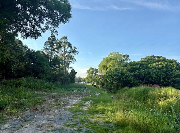 W Pope Street, Sylvester, GA 31791