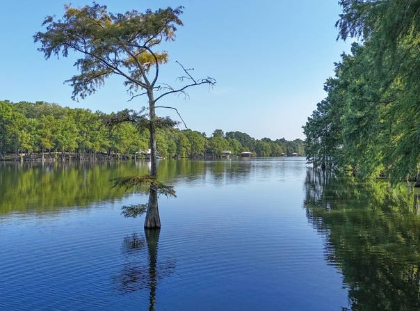 553 Davis Lake Rd., Columbia, LA 71418