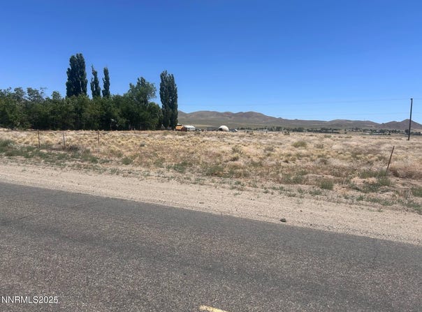557 Pete Hendrichs Road, Yerington, NV 89447