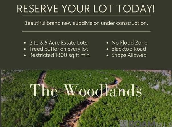 Lot 19 Honey Grove, Livingston, LA 70754