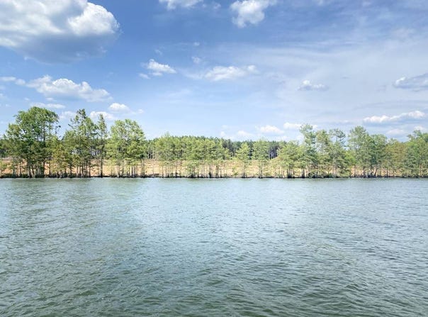 13 Killin Time Drive, Florien, LA 71429