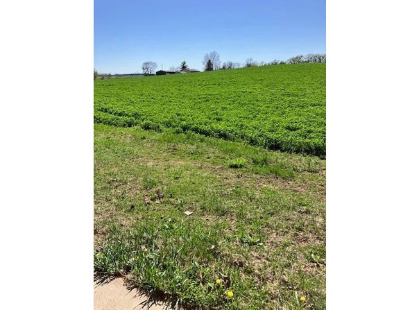 609 Main Street, Crofton, NE 68730