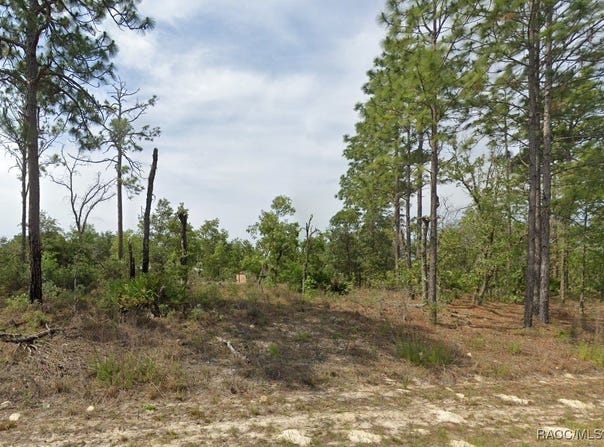 1820 W Pendleton Street, Dunnellon, FL 34434