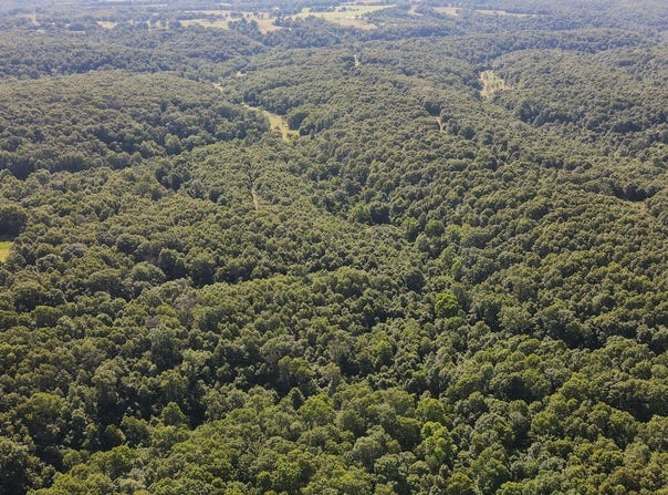 Private Drive Off Of Fr 1245, Aurora, MO 65605
