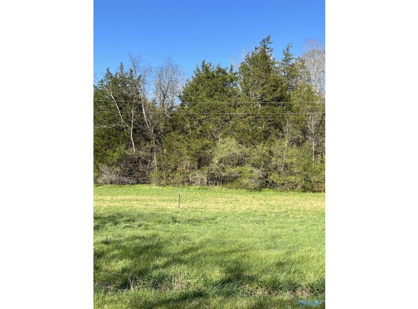 Tract 2 Spring Valley Road, Taft, TN 38488