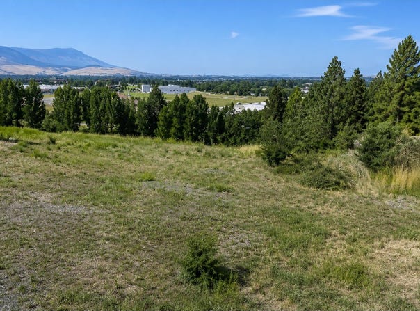 119 RIDGE Dr, LaGrande, OR 97850