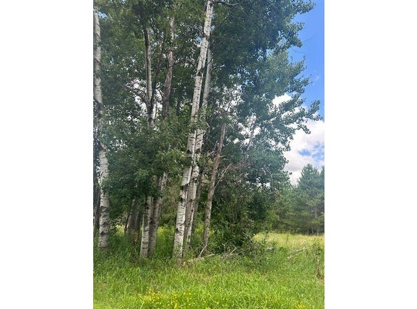 0000 Scott Dr, Spooner, WI 54801