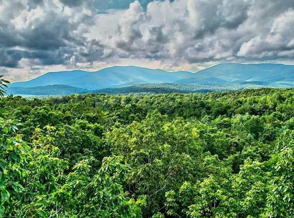 28.82 MT MCGRUDER RD- 48.26 acres, Ellijay, GA 30540