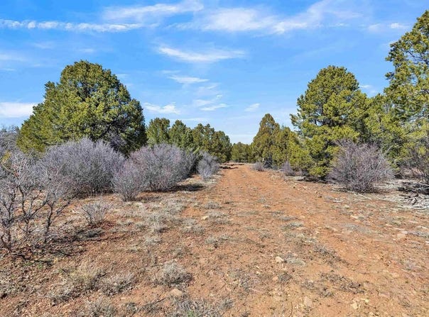TBD Dave Wood Road, Montrose, CO 81403