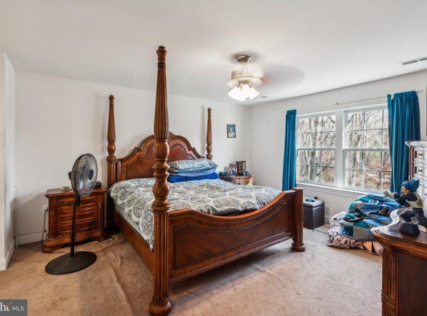 7599 SECRETARYS SAND ROAD, SCHUYLER, VA 22969