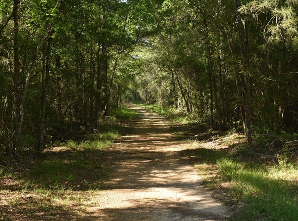 0 Oceola Rd, Folsom, LA 70446