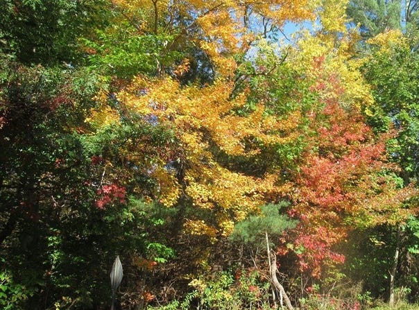 0 Elm St, Hanover, MA 02339