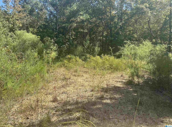 MILL CREEK ROAD lot: 4, NAUVOO, AL 35578