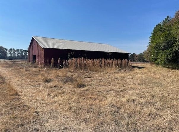 Mills Austin Rd / Hwy 85 Tract, Daleville, AL 36322