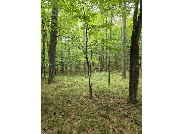 38 Algonquin Trail, Jay, NY 12941