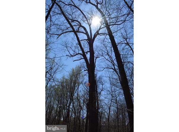 DOVER ROAD, GLYNDON, MD 21071