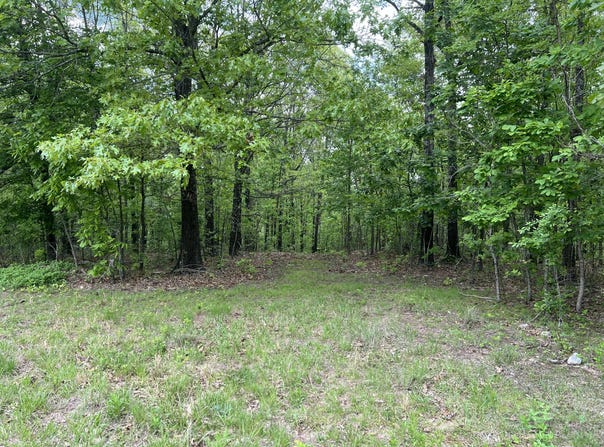 County Road 321, Ava, MO 65608