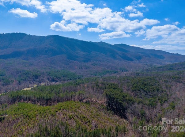 Tract 1 Holbert Cove Road, Mill Spring, NC 28756