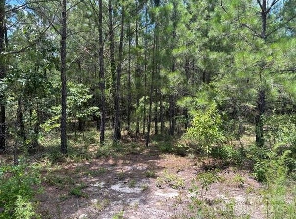 Feather Run Road, Kershaw, SC 29067