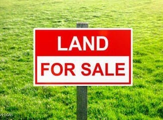 Tbd Hwy E, Granby, MO 64844